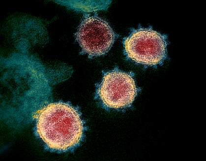 COVID virus from NIH